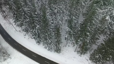 Forest road Stock Footage