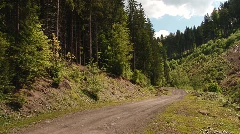 Forest road Stock Footage 68943862