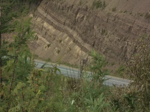 Forest road Stock Footage 80672261