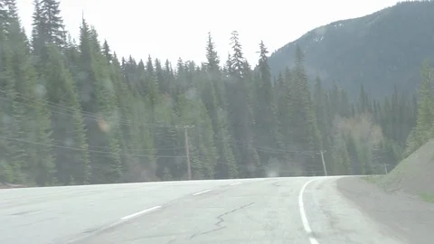 Forest road Stock Footage 110716646