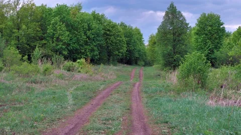 Forest road Stock Footage 130597135