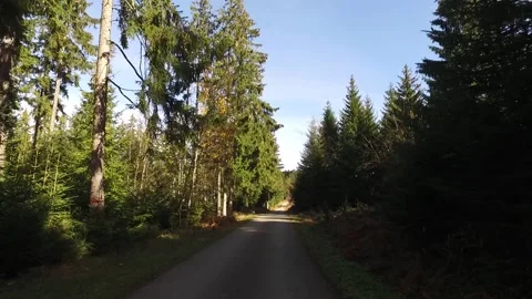 Forest road Stock Footage 143393468