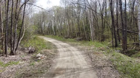Forest Road Stock Footage 158118836