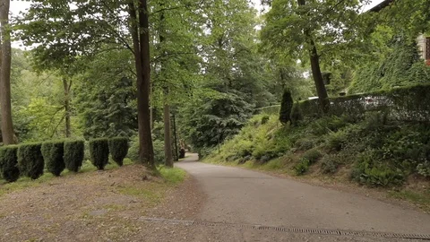 Forest road going down the hill Stock Footage 106095013