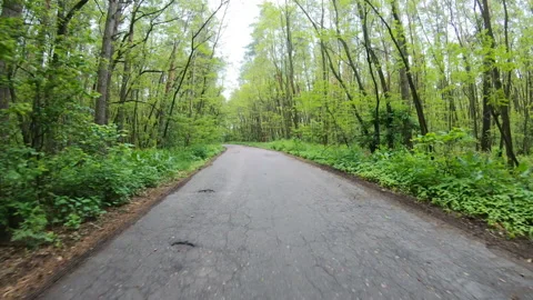 Forest road hyperlapse. Stock Footage 134307159
