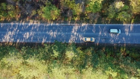 Forest road with incorrect overtaking Stock Footage 81540622