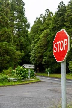 Forest road intersection with stop sign Stock Photos