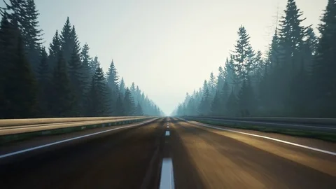 Forest road loop Video stock 80339764