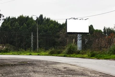 Forest Road Mockup Stock Illustration