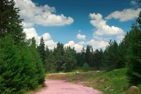 Forest road in mountain Stock Photos