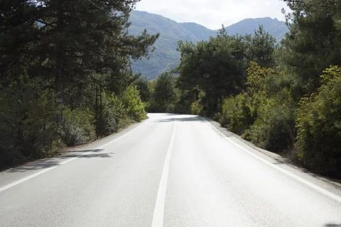 Forest Road With Mountain View Stock Photos