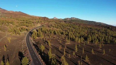 Forest road in the mountains. Stock Footage 110955582