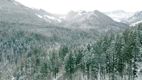 Forest road in the mountains in winter. Alps, Germany. Aerial video Stock Footage 304270018