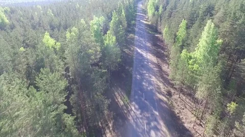 Forest road with moving car Stock Footage 76719749