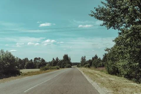 Forest road to nowhere with pine trees on the sidelines Stock Photos