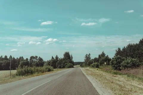 Forest road to nowhere with pine trees on the sidelines Stock Photos