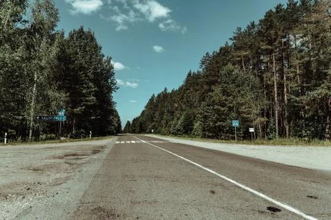 Forest road to nowhere with pine trees on the sidelines Stock Photos