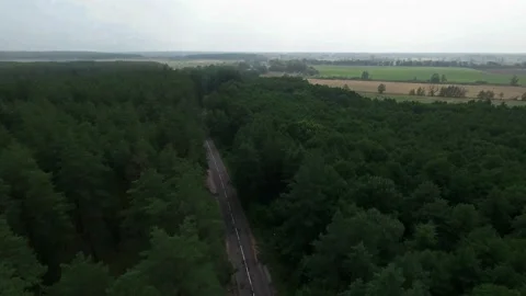 Forest road over a pine trees fly View from a height above Before war in Ukraine Stock Footage 238920147