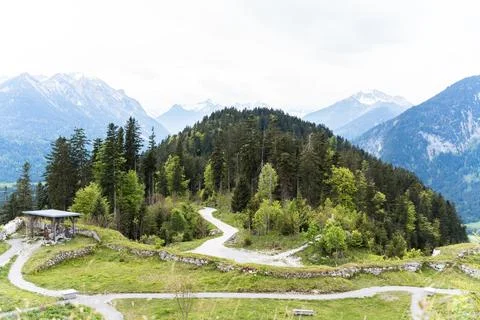 Forest Road Overlook Stockfoto's