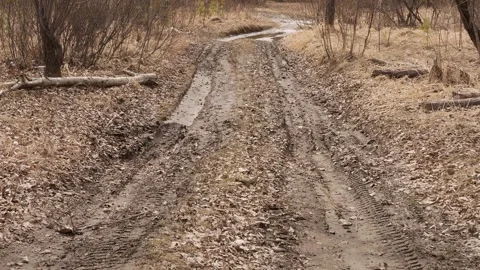Forest off-road path, muddy and challenging. The video captures the raw beauty Stock Footage 278033138