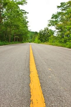 Forest road Stock Photos