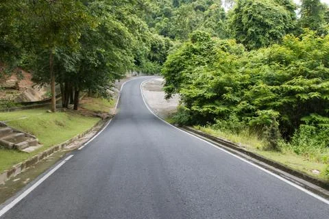 Forest road Stock Photos