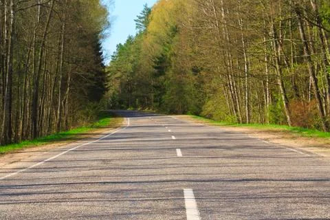 Forest road Stock Photos