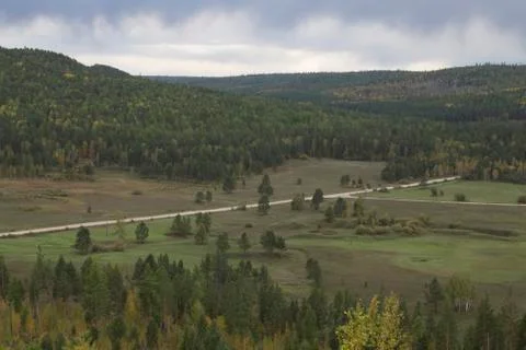 Forest road Stock Photos