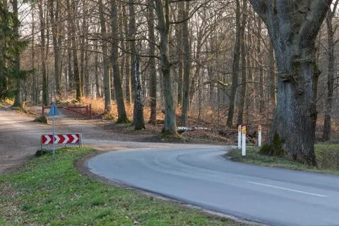 Forest road Stock Photos