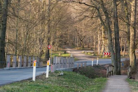 Forest road Stock Photos