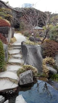 Forest Road Stock Photos