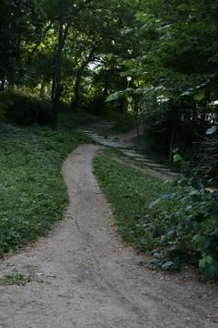 Forest road Stock Photos