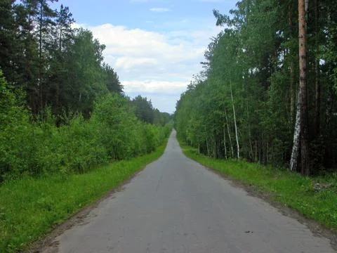 Forest Road Stock Photos