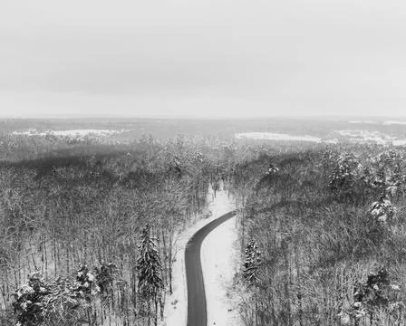 Forest road Stock Photos