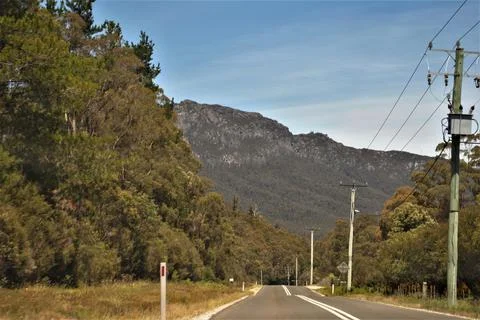 Forest Road Stock Photos