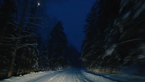 Forest road pov. Camera moves along the narrow road in the winter forest at Stock Footage 168772834