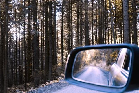 Forest Road Reflected in Car Side Mirror During Scenic Drive Stock Photos