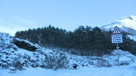 Forest Road Sign Video stock 8563328