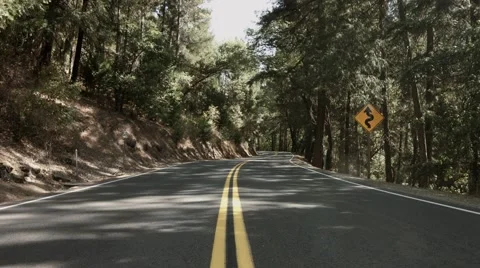 Forest Road - Slow Dolly Back Stock Footage 46216937