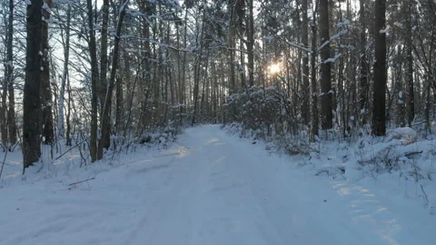 Forest road with snow-covered trees in frosty weather 스톡 동영상 157495910