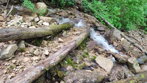 Forest, road, stream, waterfall. Stock Footage 279573600