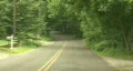 Forest Road In Suburbia HD Footage