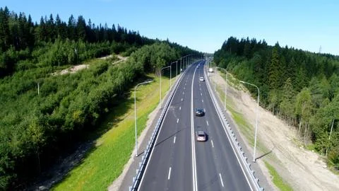 Forest road on a summer day at north in summer Stock Photos
