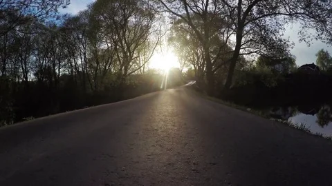 Forest road at sunset Vídeo Stock 75813527