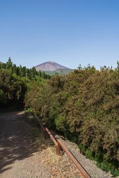 Forest road. Teide volcano in the background. Tenerife. Canary Islands. Spain Stock Photos
