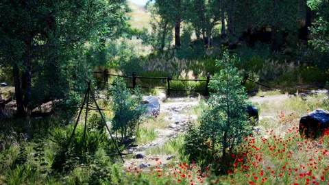 Forest road through a green summer forest in northern Sweden Stock Footage 234186955