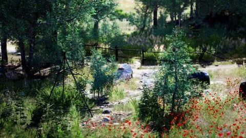 Forest road through a green summer forest in northern Sweden Ilustração Stock