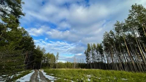 Forest Road Through Spring Clearing Under Dramatic Cloudy Sky Stock Photos
