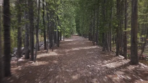 Forest Road through Uinta Mountains Utah Tracking Stock Footage 335091183