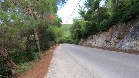 Forest road timelapse Stock Footage 169304214